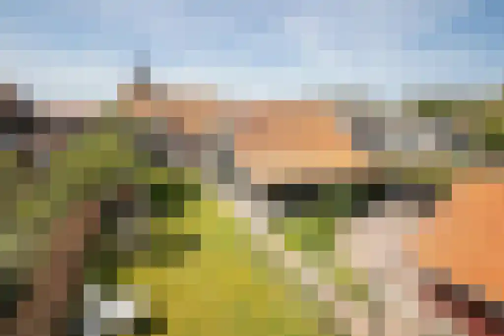 Zomerstraat 9 Ellewoutsdijk thumbnail 33