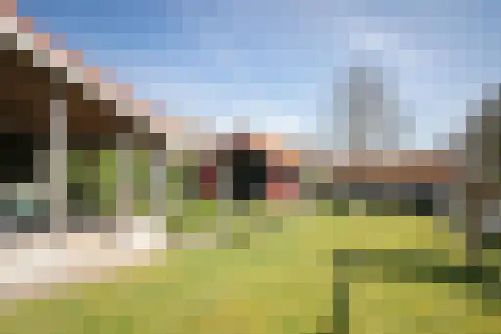 Zomerstraat 9 Ellewoutsdijk thumbnail 35