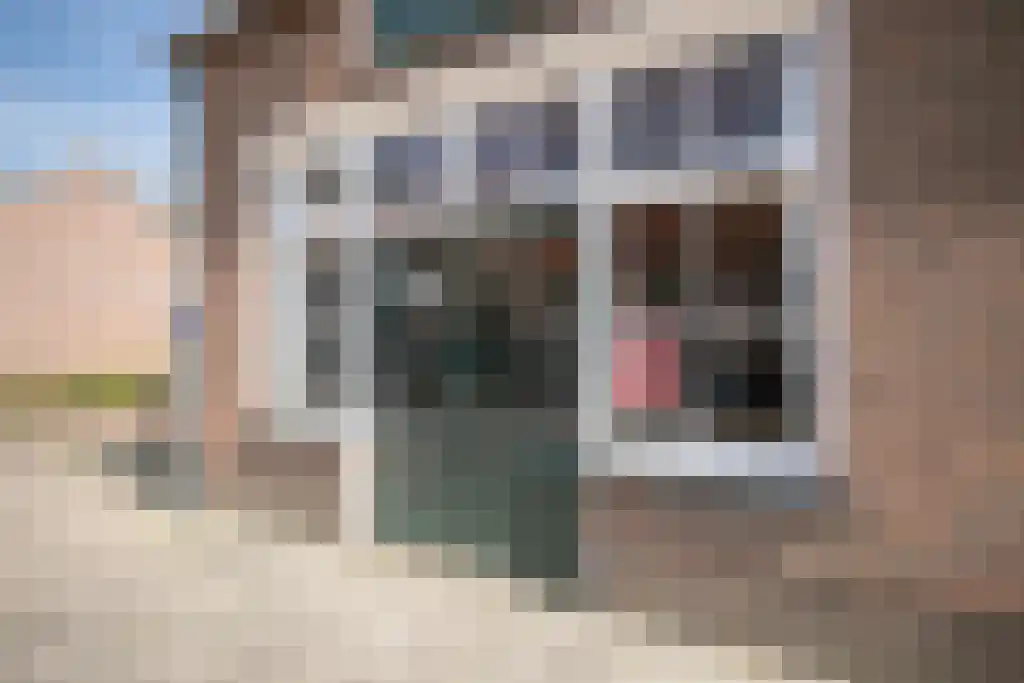 Zomerstraat 9 Ellewoutsdijk thumbnail 4