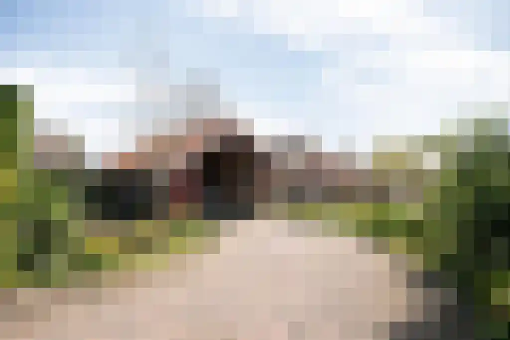 Zomerstraat 9 Ellewoutsdijk thumbnail 41