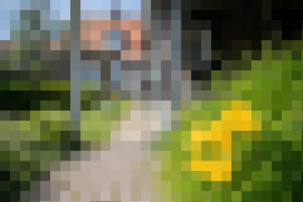 Zomerstraat 9 Ellewoutsdijk thumbnail 42
