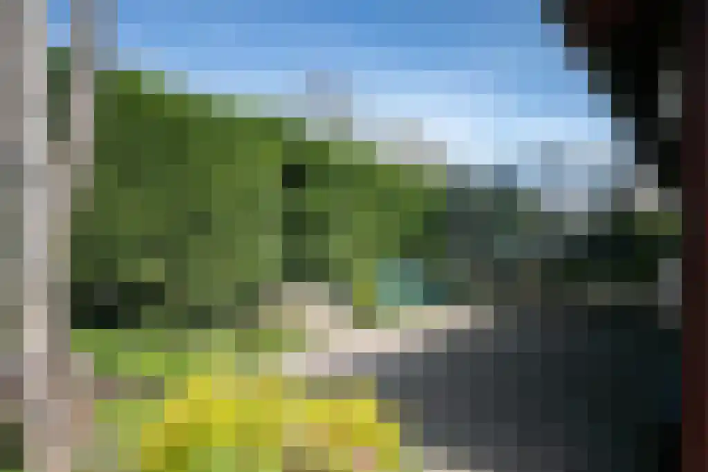 Zomerstraat 9 Ellewoutsdijk thumbnail 43