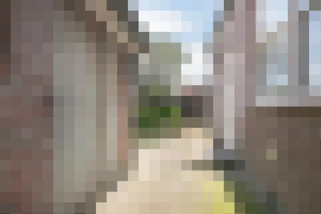 Zomerstraat 9 Ellewoutsdijk thumbnail 44