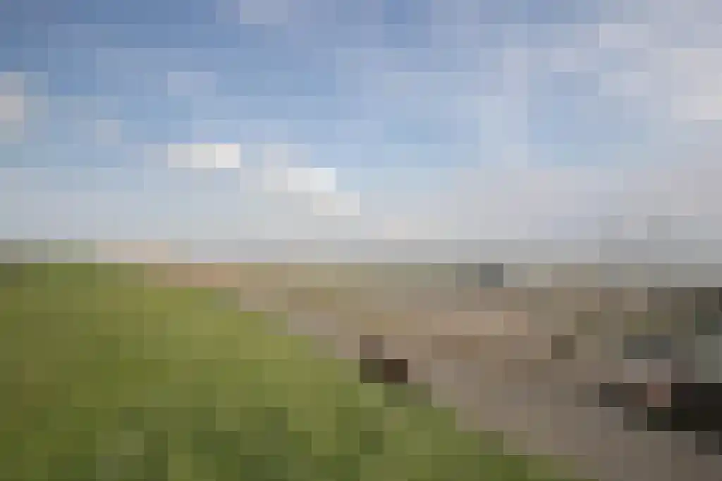 Zomerstraat 9 Ellewoutsdijk thumbnail 48