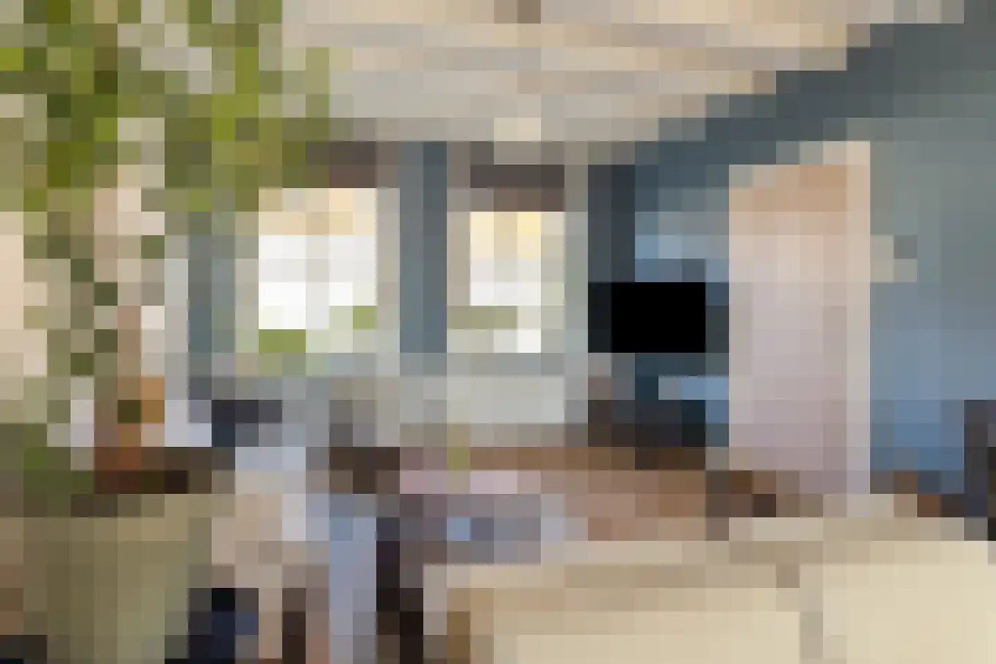 Zomerstraat 9 Ellewoutsdijk thumbnail 6