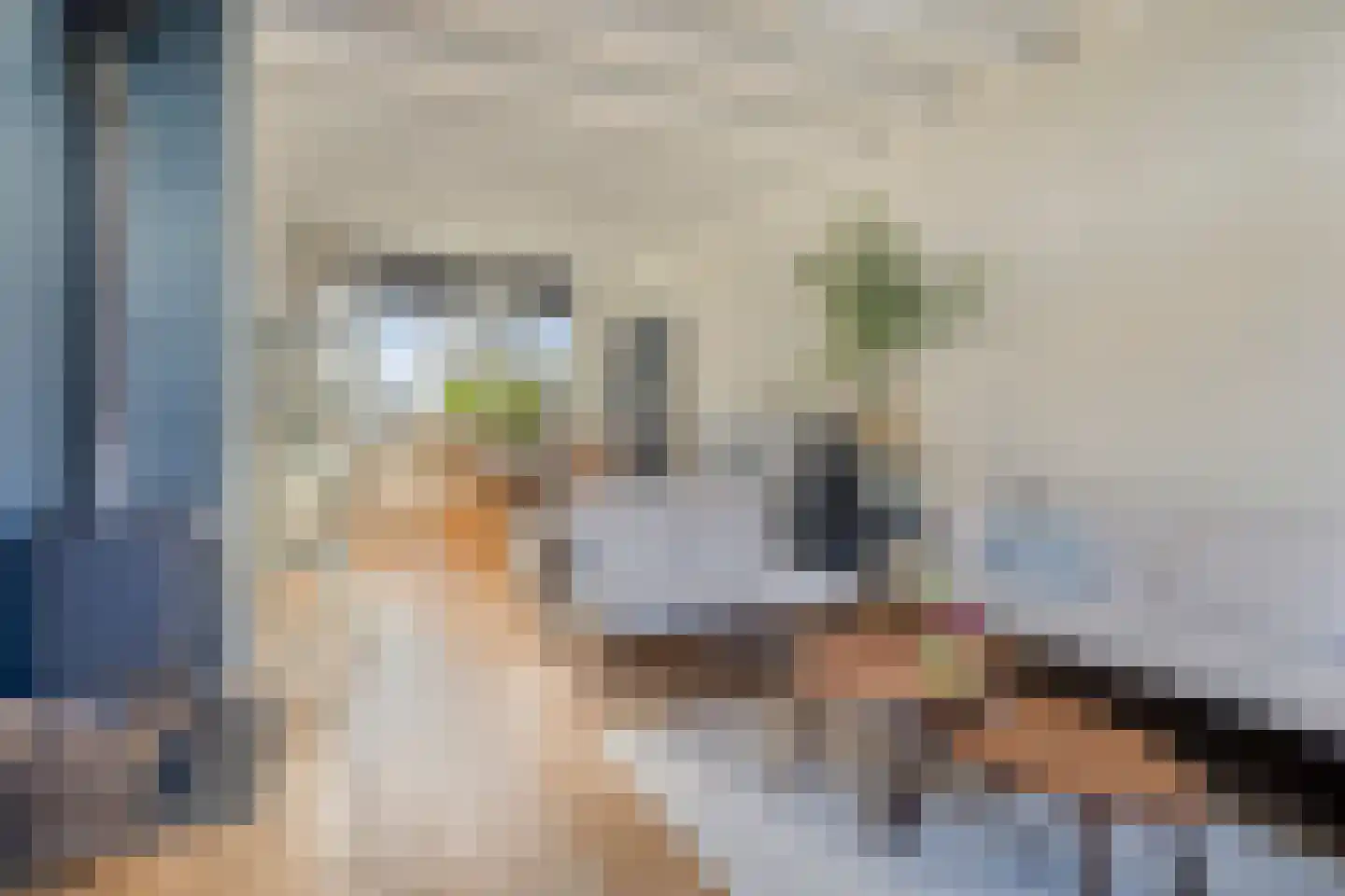 Zomerstraat 9 Ellewoutsdijk thumbnail 7