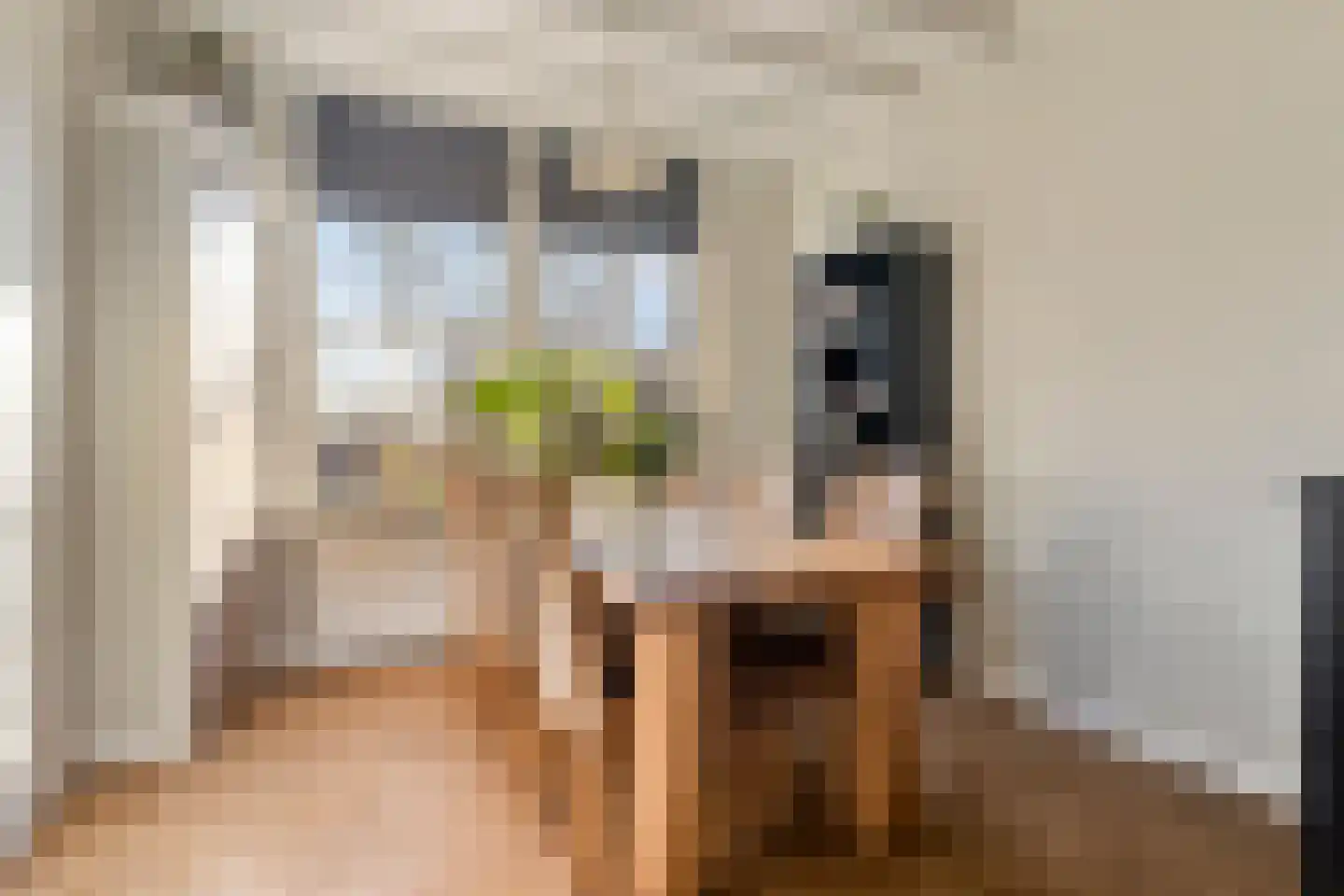 Zomerstraat 9 Ellewoutsdijk thumbnail 9