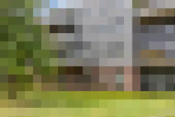 Zomertaling 11 Wijchen thumbnail 26