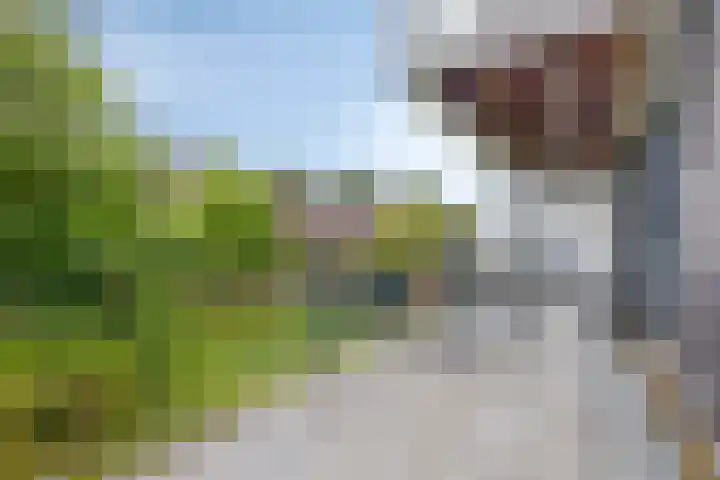 Zomertaling 11 Wijchen thumbnail 9