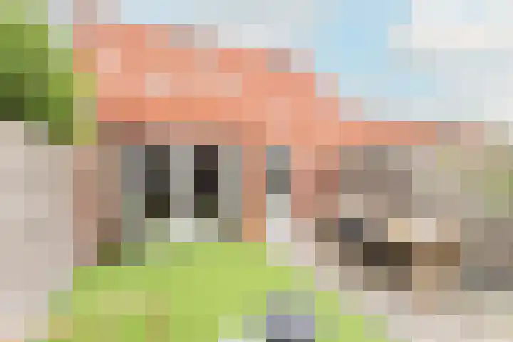 Zomertaling 14 Spanbroek thumbnail 39