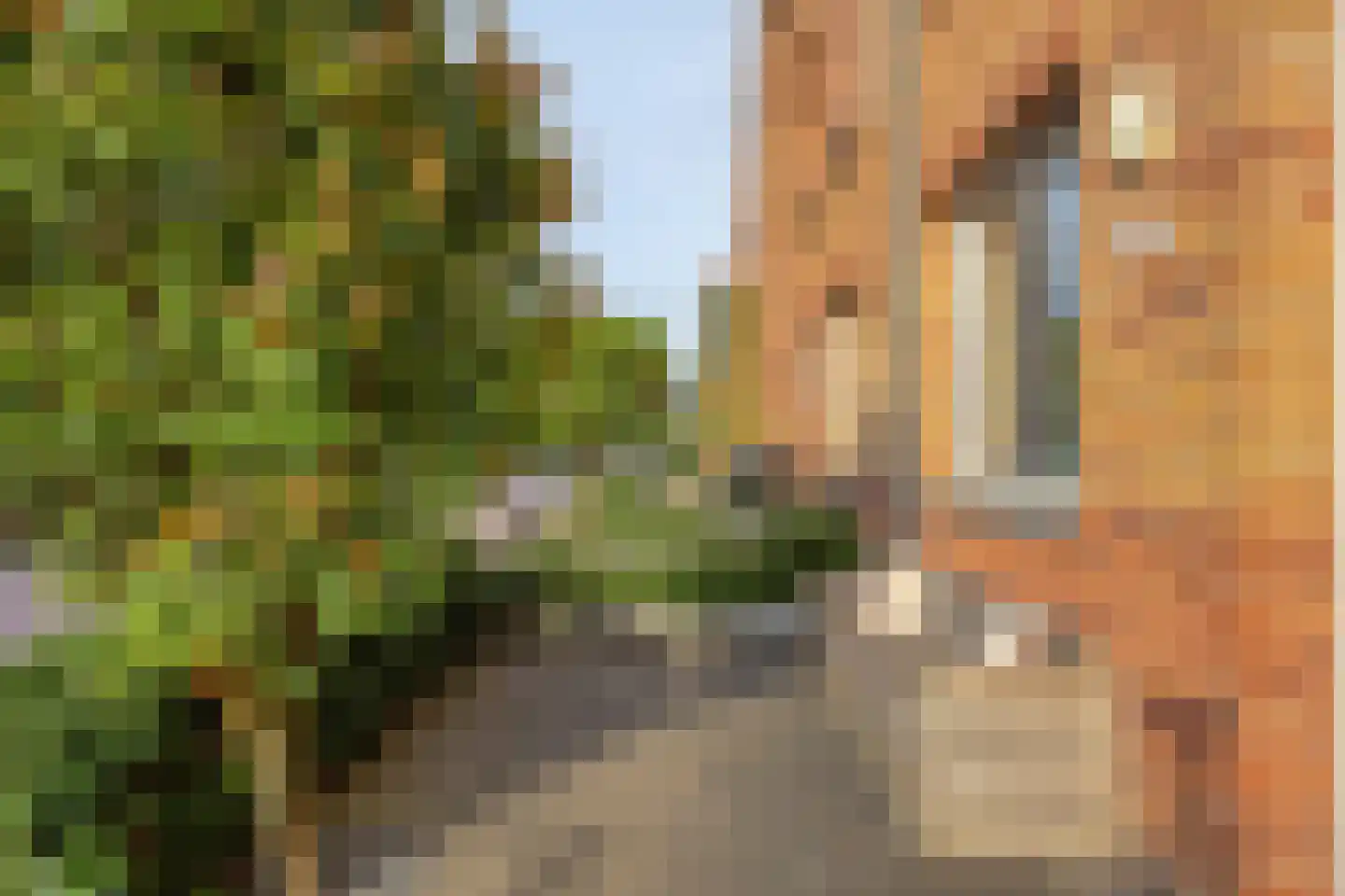 Zomertaling 15 Hendrik-Ido-Ambacht thumbnail 7