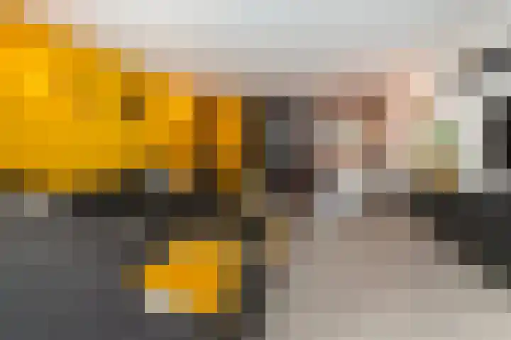 Zomertaling 17 Nieuw-Lekkerland thumbnail 10