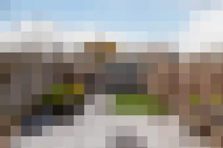 Zomertaling 17 Nieuw-Lekkerland thumbnail 33