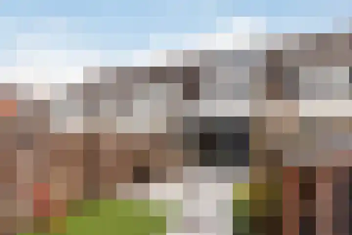 Zomertaling 17 Nieuw-Lekkerland thumbnail 34