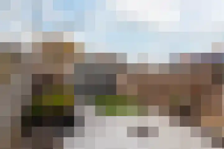 Zomertaling 17 Nieuw-Lekkerland thumbnail 35