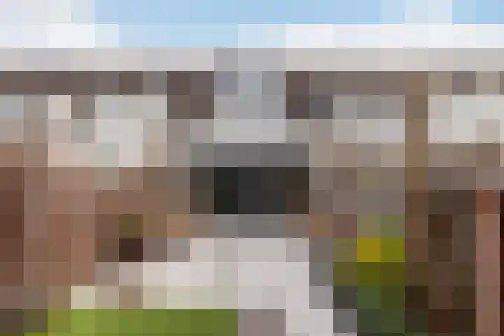 Zomertaling 17 Nieuw-Lekkerland thumbnail 36
