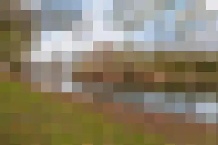 Zomertaling 17 Nieuw-Lekkerland thumbnail 37