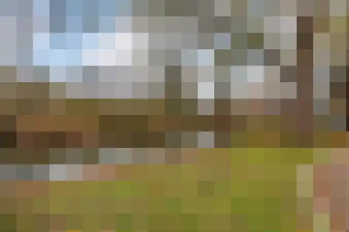 Zomertaling 17 Nieuw-Lekkerland thumbnail 38
