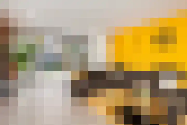 Zomertaling 17 Nieuw-Lekkerland thumbnail 6
