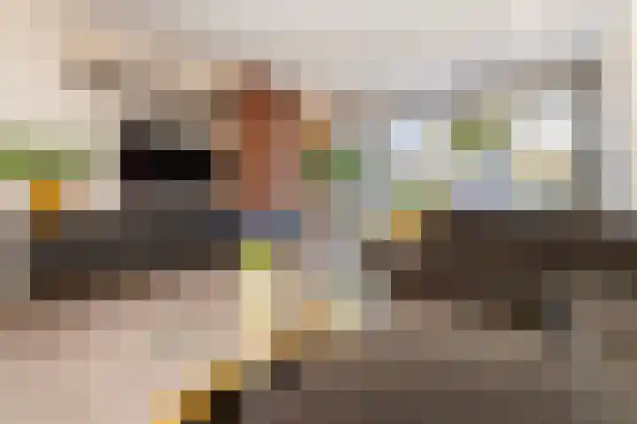Zomertaling 17 Nieuw-Lekkerland thumbnail 9