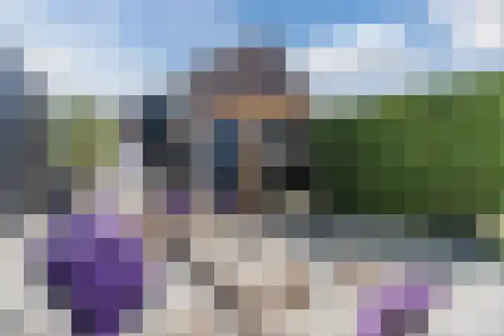 Zomertaling 2 Bunschoten-Spakenburg thumbnail 40
