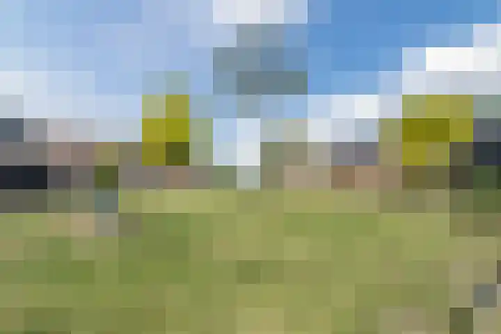 Zomertaling 2 Bunschoten-Spakenburg thumbnail 50