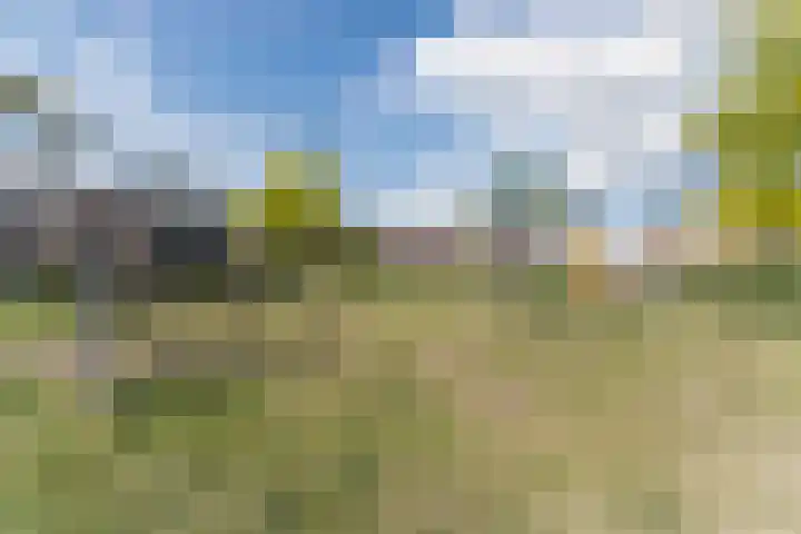 Zomertaling 2 Bunschoten-Spakenburg thumbnail 51