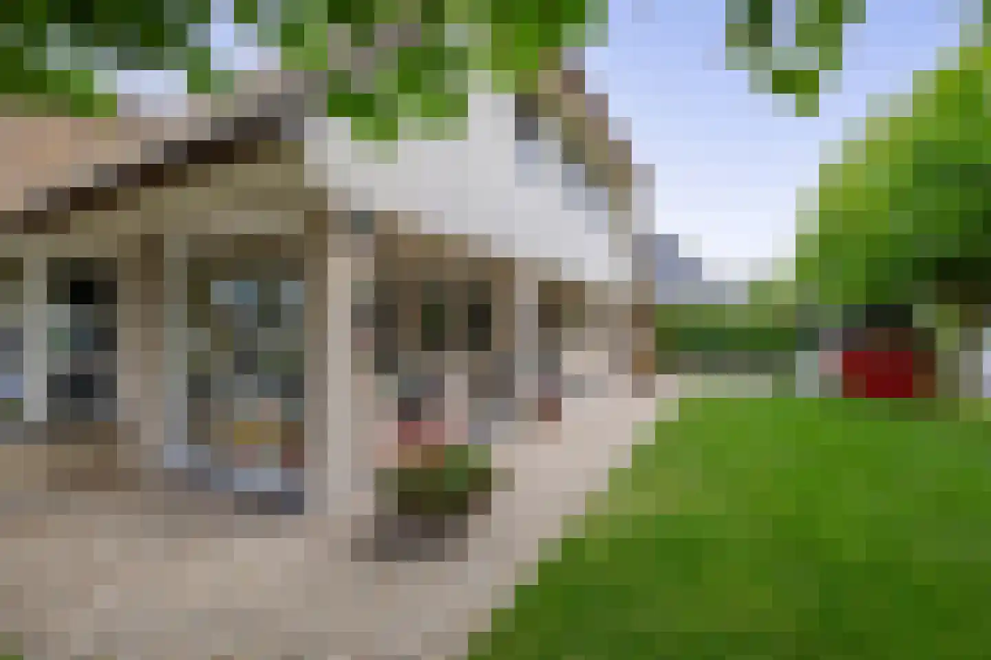 Zomertaling 2 Lemmer thumbnail 22