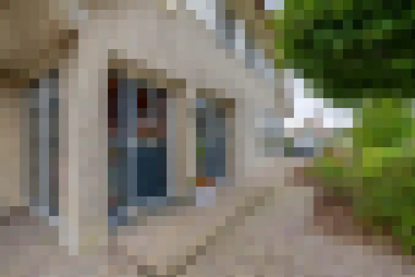 Zomertaling 2 Lemmer thumbnail 6