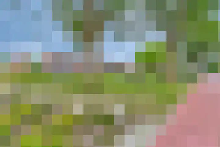Zomertaling 26 Berkel en Rodenrijs thumbnail 26