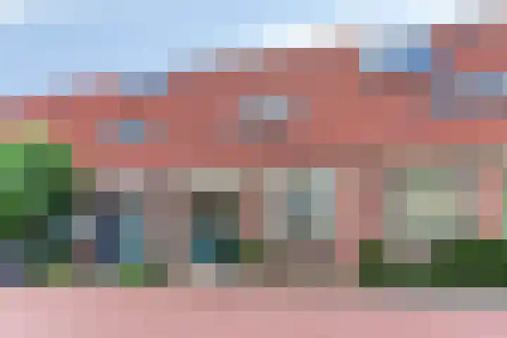 Zomertaling 26 Berkel en Rodenrijs thumbnail 31