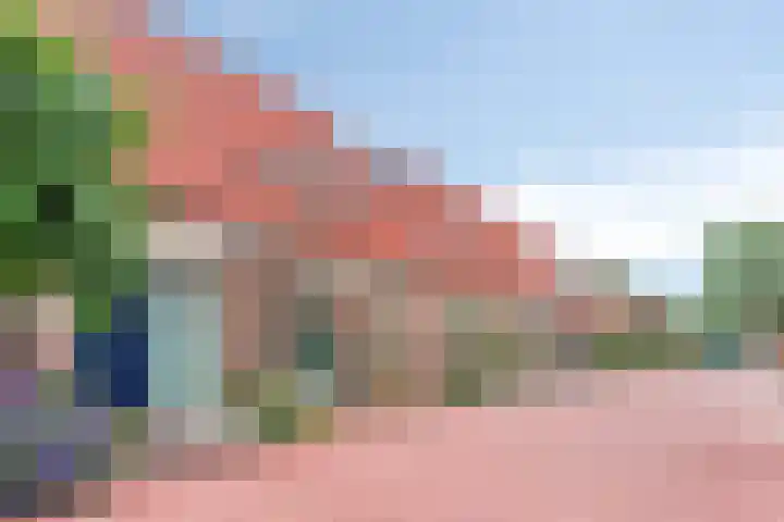 Zomertaling 26 Berkel en Rodenrijs thumbnail 4