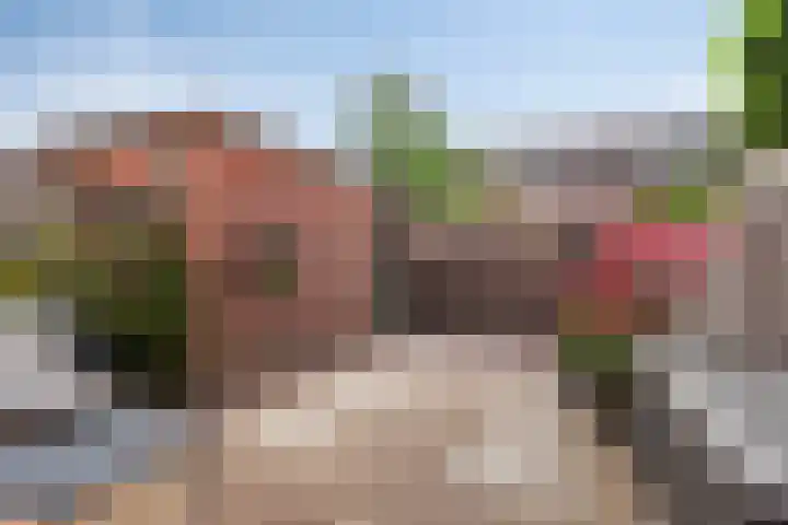 Zomertaling 26 Berkel en Rodenrijs thumbnail 9