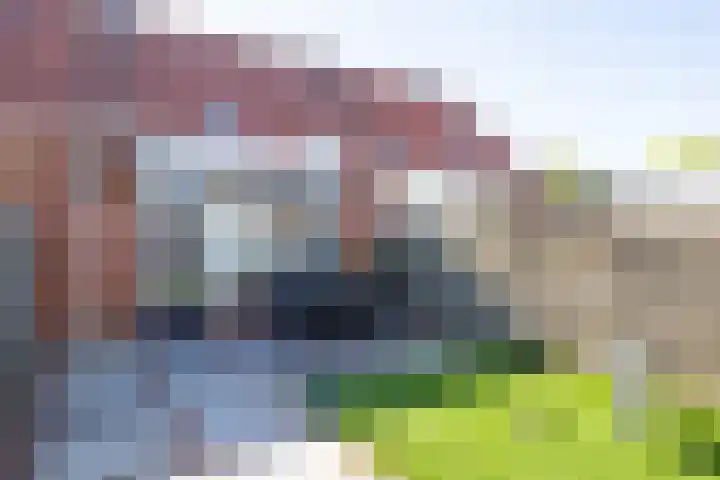 Zomertaling 3 Spanbroek thumbnail 35