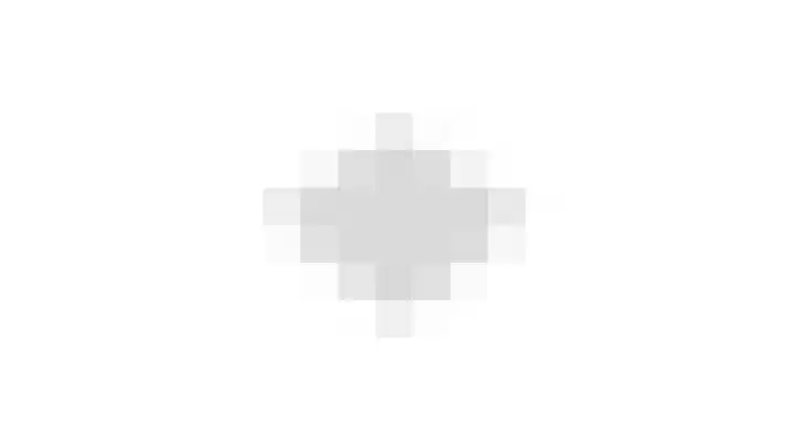 Zomertaling 39 Culemborg thumbnail 60