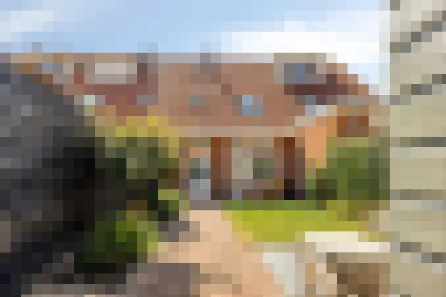 Zomertaling 41 Spanbroek thumbnail 32