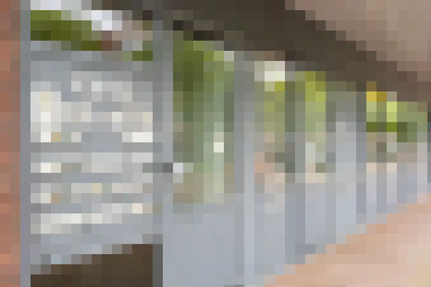 Zomertaling 47 A Wijchen thumbnail 14