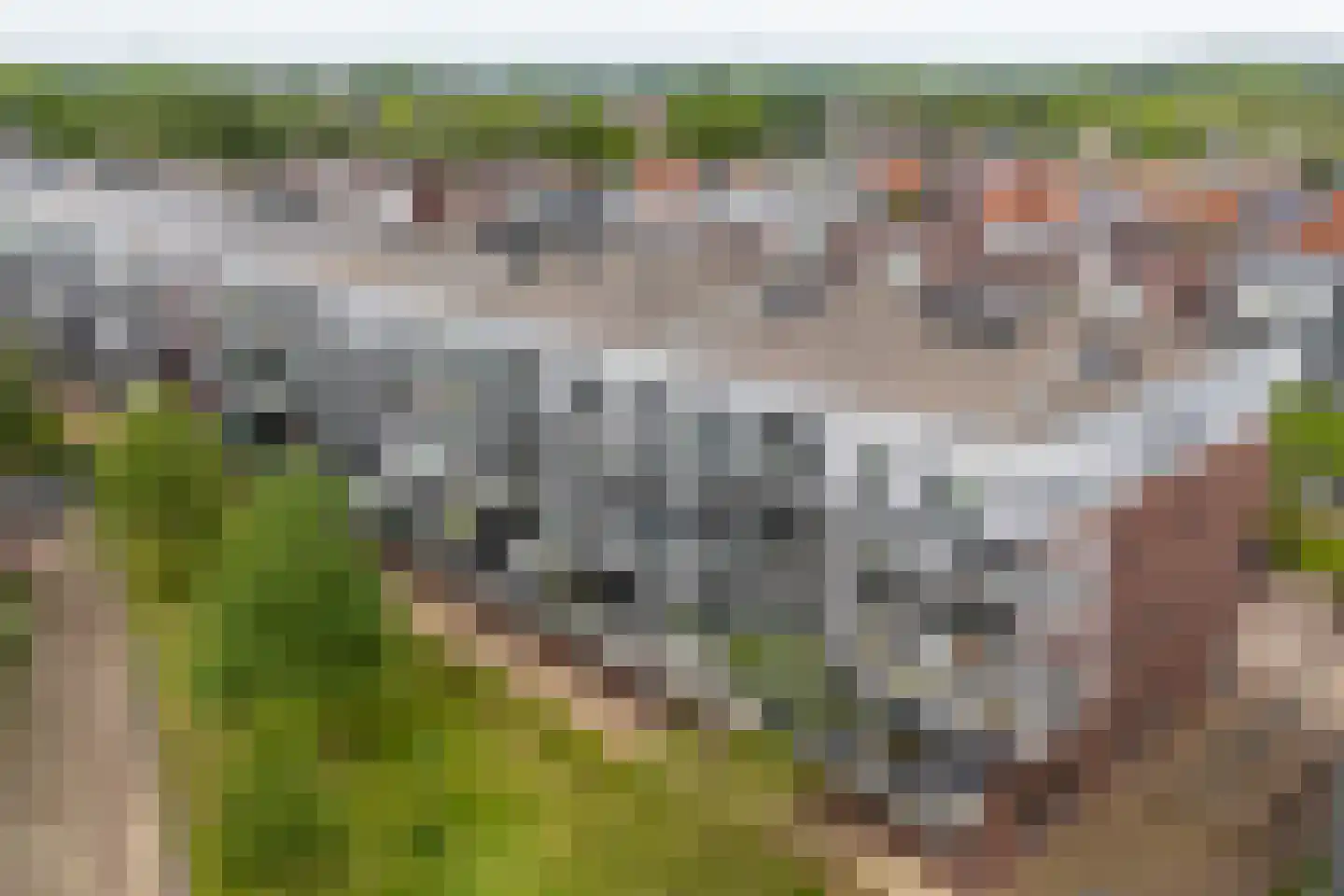 Zomertaling 47 A Wijchen thumbnail 17
