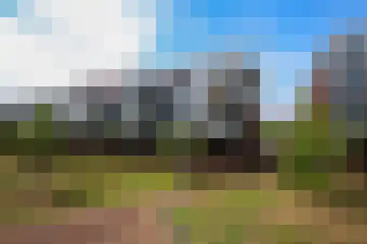 Zomertaling 47 Wijchen thumbnail 18