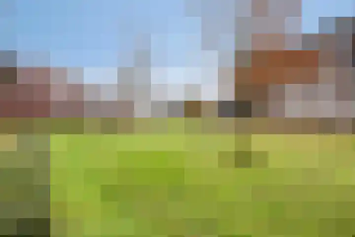Zomertaling 47 Wijchen thumbnail 19
