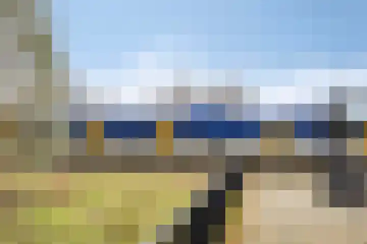 Zomertaling 47 Wijchen thumbnail 20