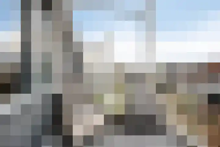 Zomertaling 47 Wijchen thumbnail 4