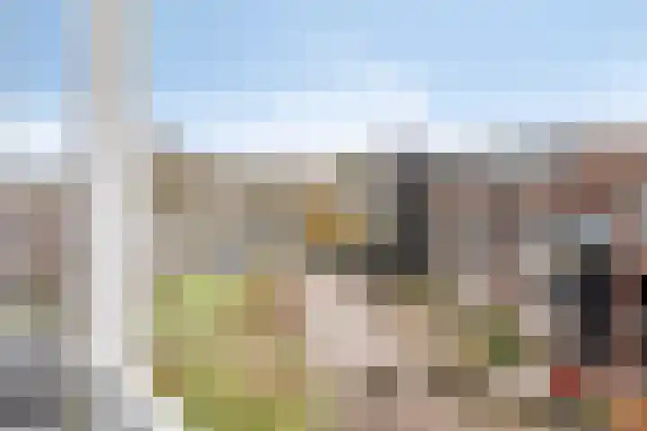 Zomertaling 47 Wijchen thumbnail 5