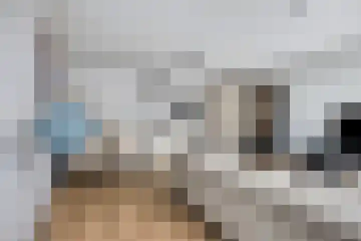 Zomertaling 47 Wijchen thumbnail 6