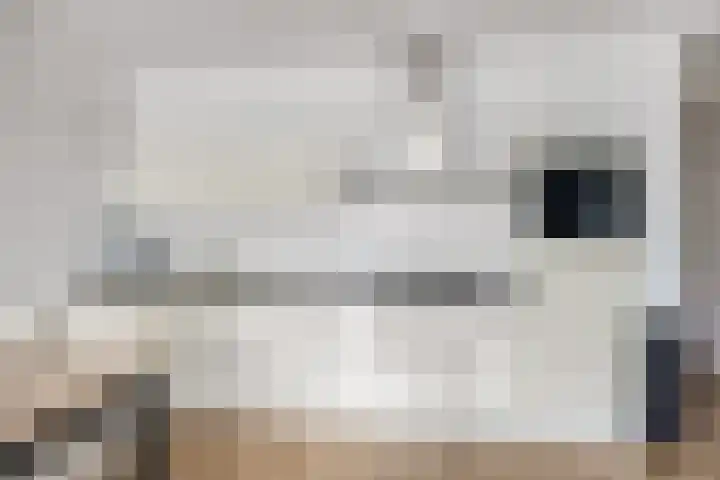 Zomertaling 47 Wijchen thumbnail 8