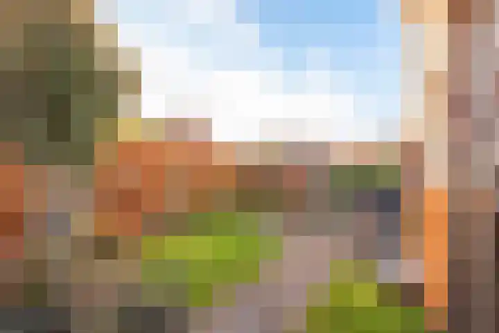 Zomertaling 49 Spanbroek thumbnail 49