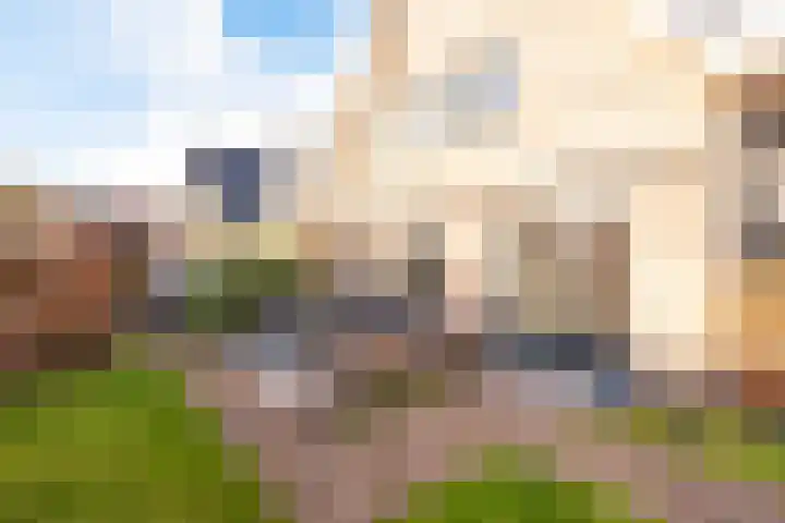 Zomertaling 49 Spanbroek thumbnail 50