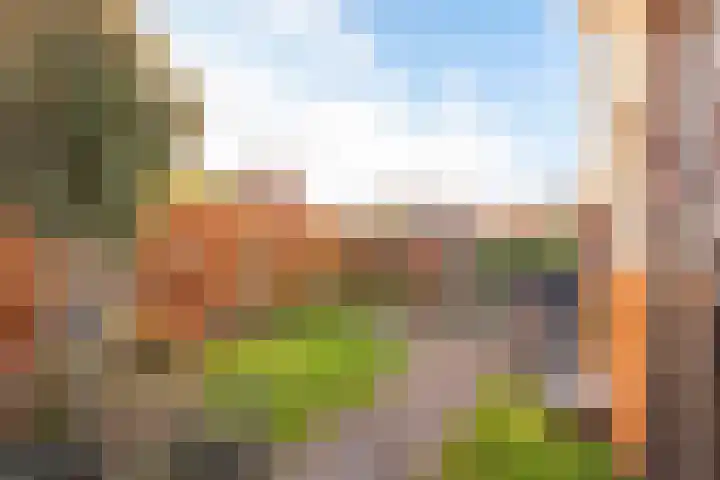 Zomertaling 49 Spanbroek thumbnail 6