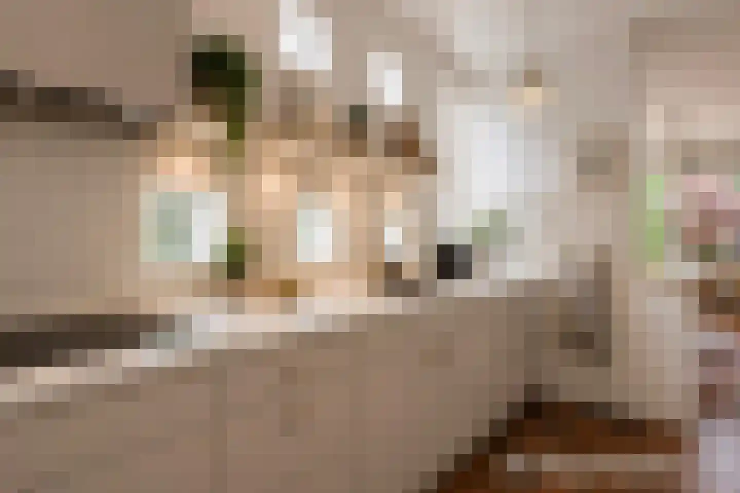 Zomertaling 7 Eemnes thumbnail 23