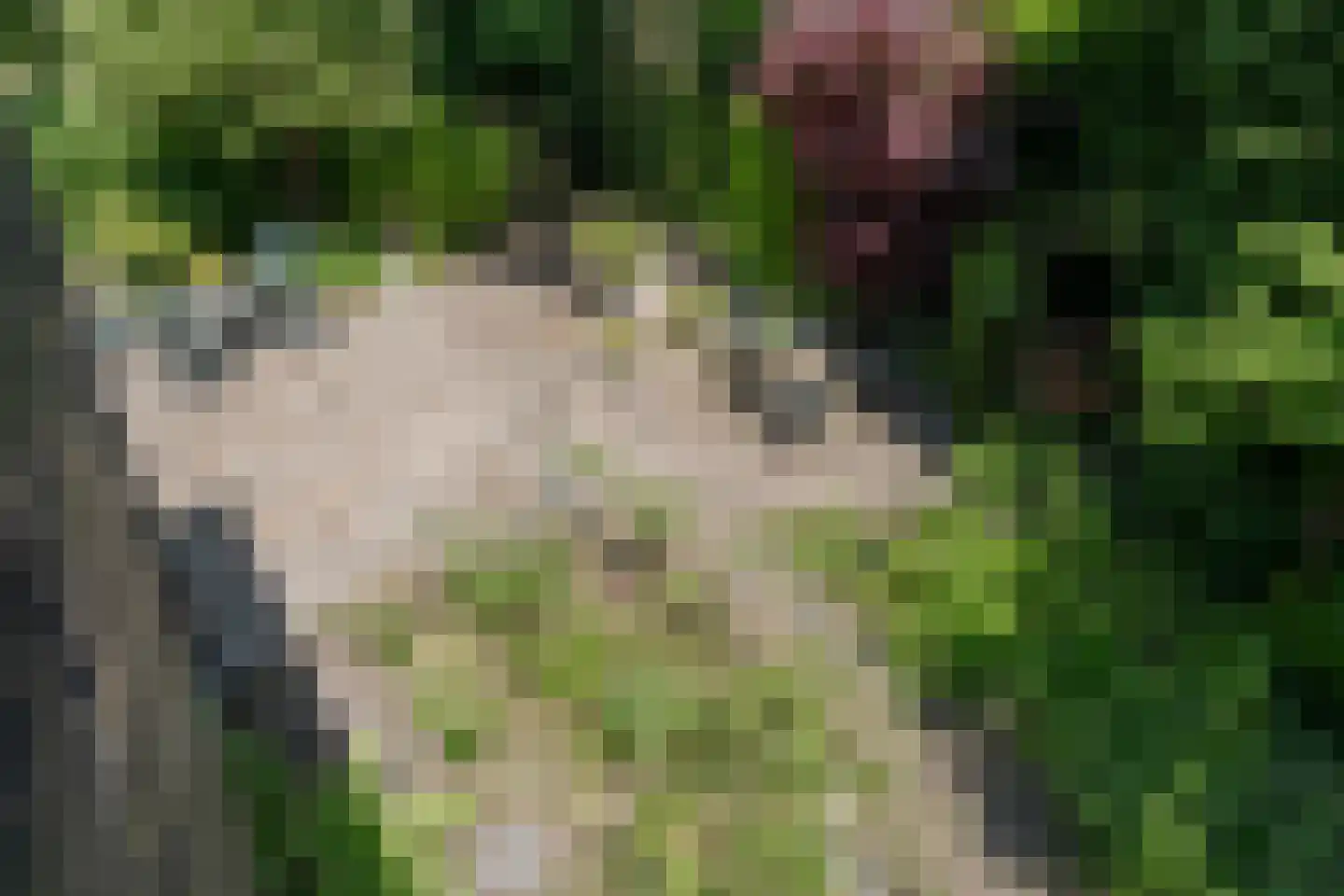 Zomertaling 7 Eemnes thumbnail 34